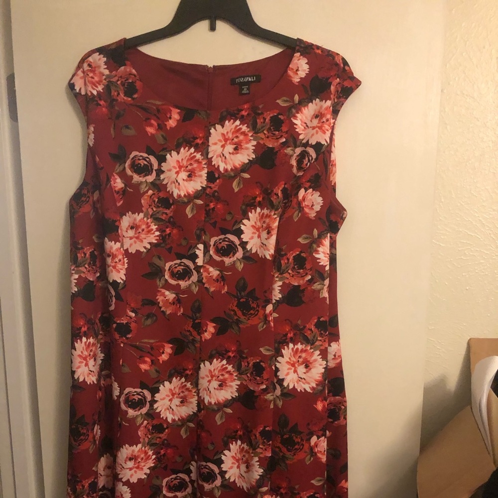 Roz and Ali plus size dress. Size 22